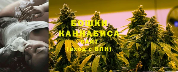 мдпв Няндома