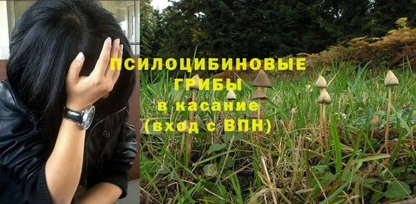 дурь Балахна