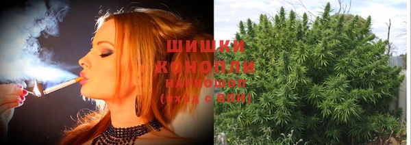 прущие крисы Армянск